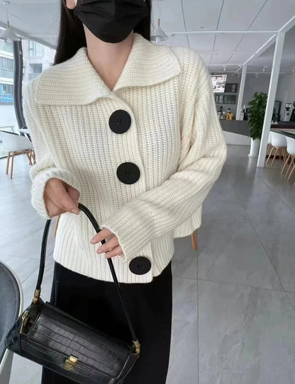 European Cashmere POLO Collar Long Sleeve Loose Wool Knit Sweater