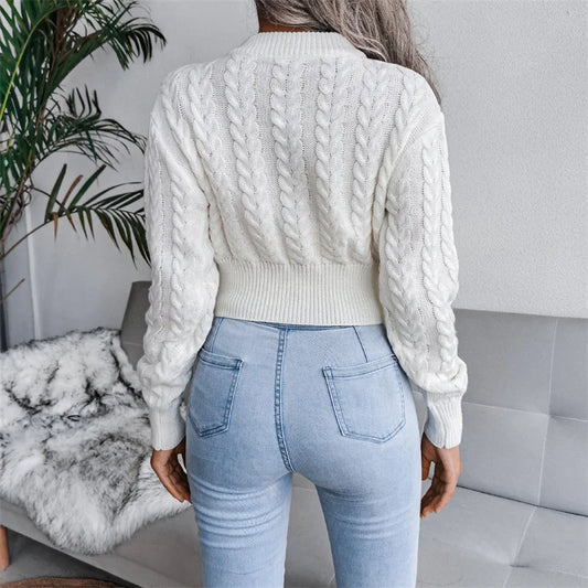 Women Solid Color Twisted Knitted Autumn Winter Fashion Long Sleeve Slim Fit Sweater