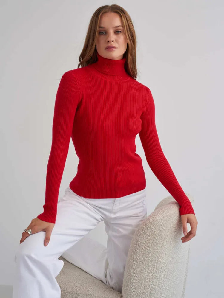 Long Sleeves Mock Turtleneck Basic Stretch Fitting Slim Sweater