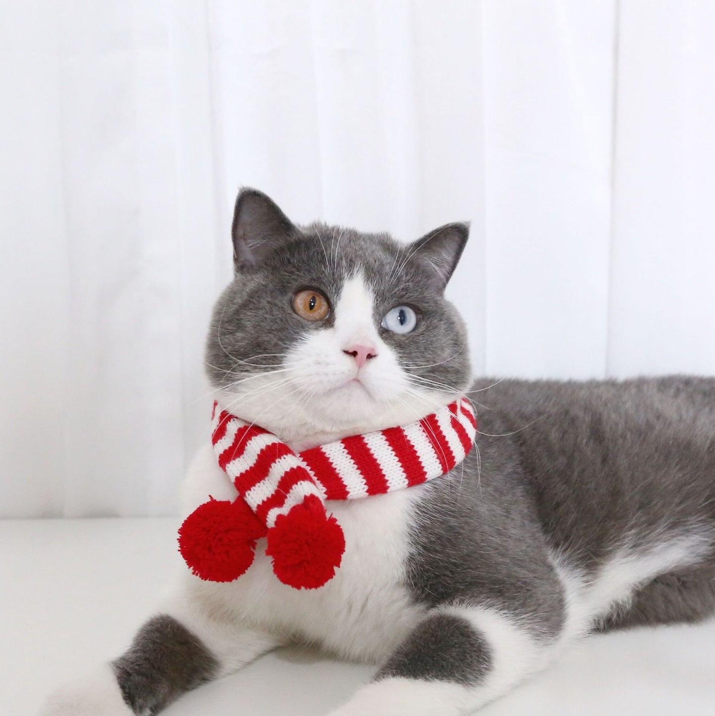 Amy Fashion - Cat Dog Knitted Wool Striped Christmas Scarf